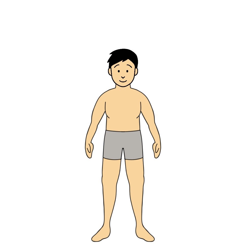 158センチ81キロの男性で体脂肪率15%以上20%未満の見た目は「がっちり体型」